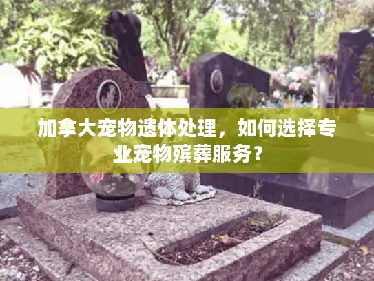 加拿大宠物遗体处理，如何选择专业宠物殡葬服务？