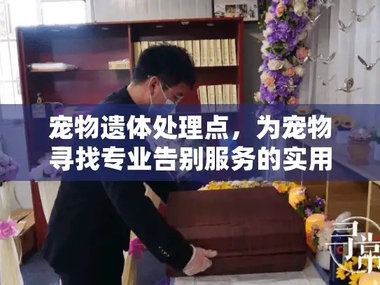 宠物遗体处理点，为宠物寻找专业告别服务的实用指南