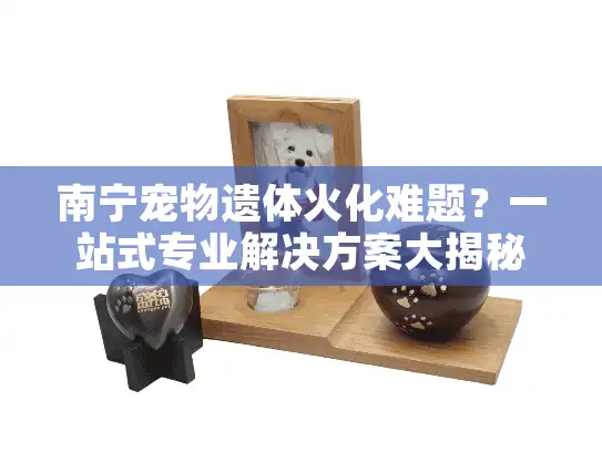 南宁宠物遗体火化难题？一站式专业解决方案大揭秘