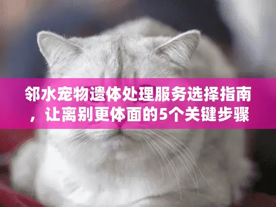 邻水宠物遗体处理服务选择指南，让离别更体面的5个关键步骤