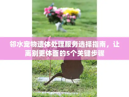 邻水宠物遗体处理服务选择指南，让离别更体面的5个关键步骤