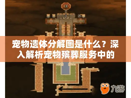 宠物遗体分解图是什么？深入解析宠物殡葬服务中的关键流程