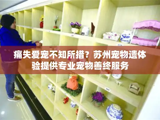 痛失爱宠不知所措？苏州宠物遗体验提供专业宠物善终服务