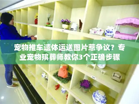 宠物推车遗体运送图片惹争议？专业宠物殡葬师教你3个正确步骤