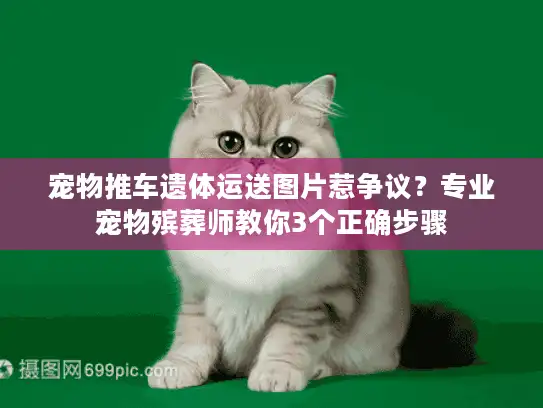 宠物推车遗体运送图片惹争议？专业宠物殡葬师教你3个正确步骤