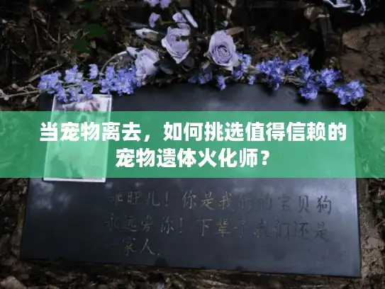 当宠物离去，如何挑选值得信赖的宠物遗体火化师？