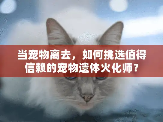当宠物离去，如何挑选值得信赖的宠物遗体火化师？