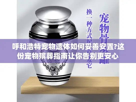 呼和浩特宠物遗体如何妥善安置?这份宠物殡葬指南让你告别更安心
