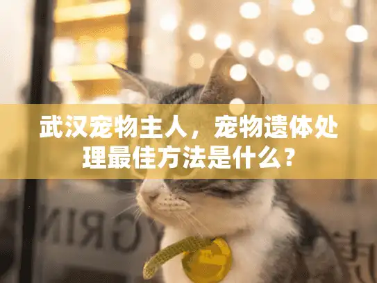 武汉宠物主人，宠物遗体处理最佳方法是什么？