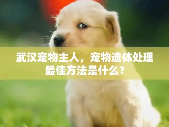 武汉宠物主人，宠物遗体处理最佳方法是什么？