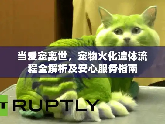 当爱宠离世，宠物火化遗体流程全解析及安心服务指南