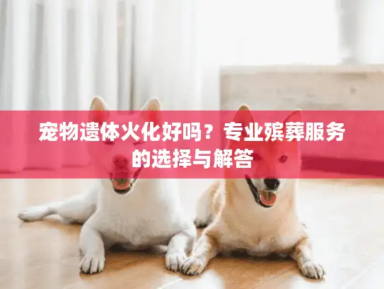 宠物遗体火化好吗？专业殡葬服务的选择与解答