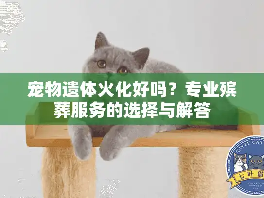 宠物遗体火化好吗？专业殡葬服务的选择与解答