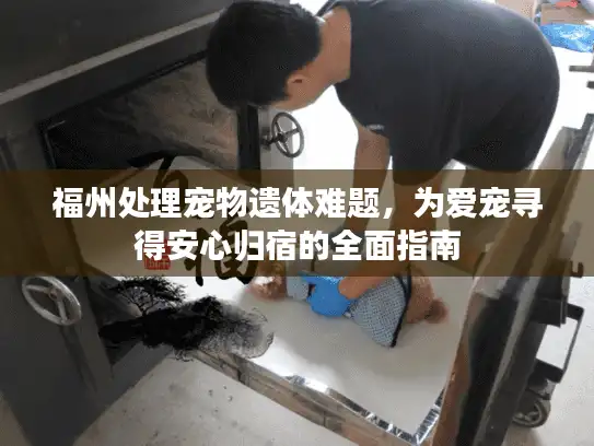 福州处理宠物遗体难题，为爱宠寻得安心归宿的全面指南