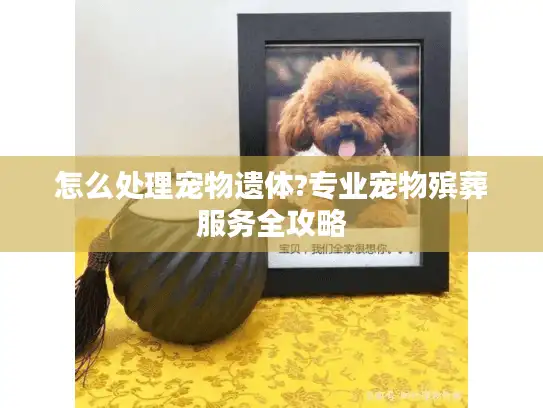 怎么处理宠物遗体?专业宠物殡葬服务全攻略