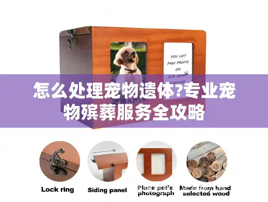 怎么处理宠物遗体?专业宠物殡葬服务全攻略