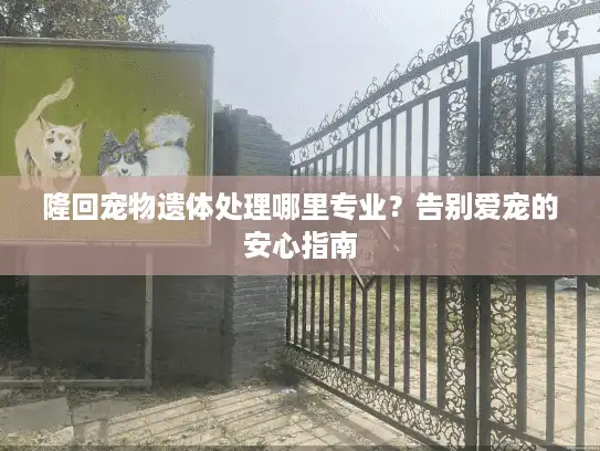 隆回宠物遗体处理哪里专业？告别爱宠的安心指南