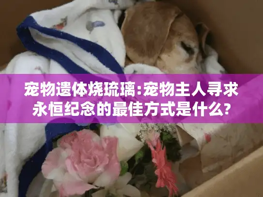 宠物遗体烧琉璃:宠物主人寻求永恒纪念的最佳方式是什么?