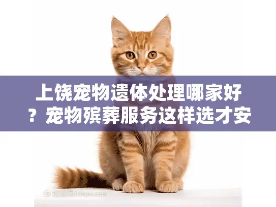 上饶宠物遗体处理哪家好？宠物殡葬服务这样选才安心