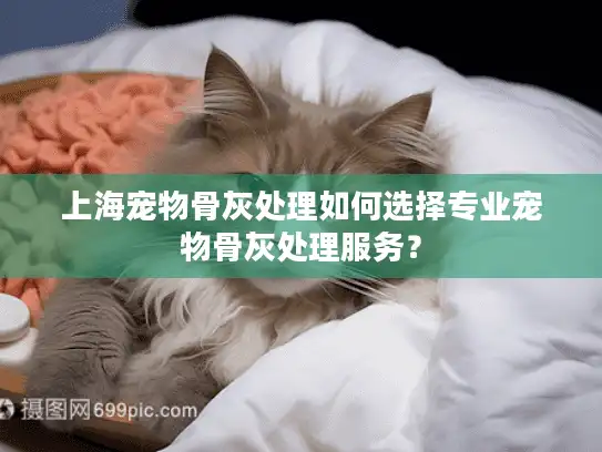 上海宠物骨灰处理如何选择专业宠物骨灰处理服务？