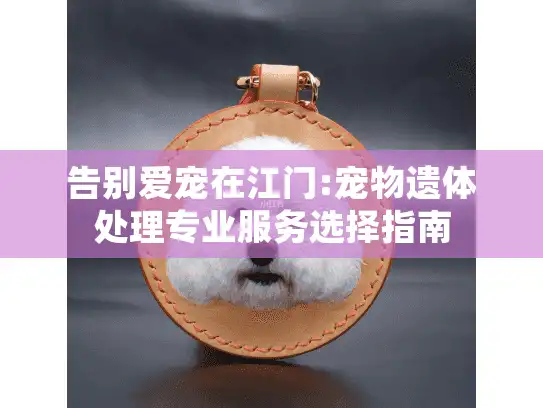 告别爱宠在江门:宠物遗体处理专业服务选择指南