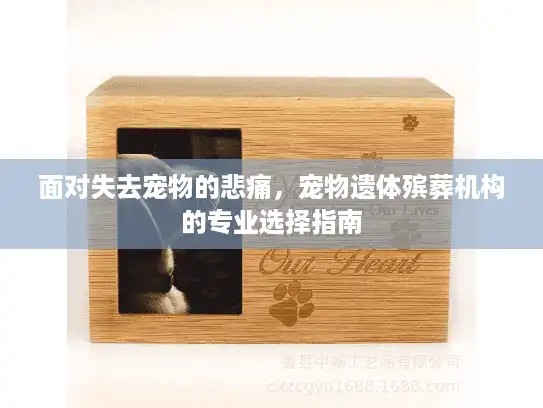 面对失去宠物的悲痛，宠物遗体殡葬机构的专业选择指南