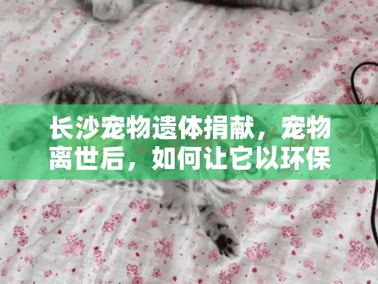 长沙宠物遗体捐献，宠物离世后，如何让它以环保方式回馈社会？