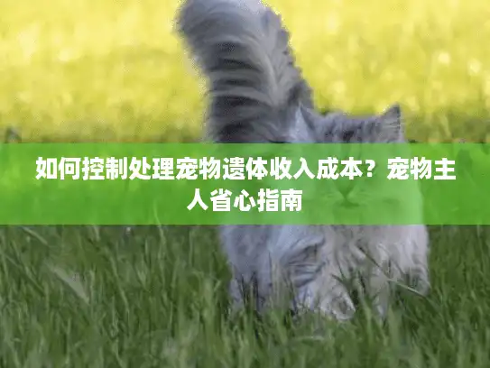 如何控制处理宠物遗体收入成本？宠物主人省心指南