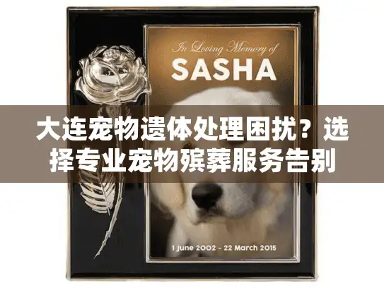 大连宠物遗体处理困扰？选择专业宠物殡葬服务告别安心
