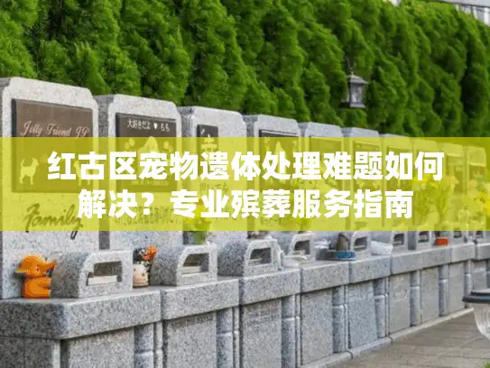 红古区宠物遗体处理难题如何解决？专业殡葬服务指南