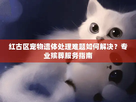 红古区宠物遗体处理难题如何解决？专业殡葬服务指南