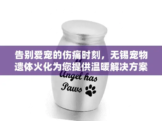 告别爱宠的伤痛时刻，无锡宠物遗体火化为您提供温暖解决方案