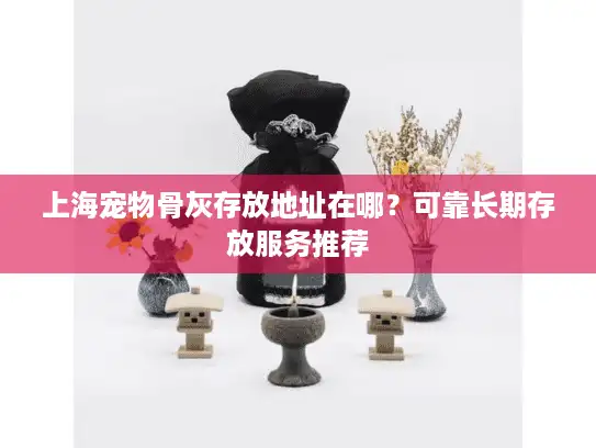 上海宠物骨灰存放地址在哪？可靠长期存放服务推荐