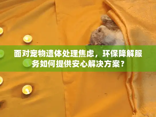 面对宠物遗体处理焦虑，环保降解服务如何提供安心解决方案？