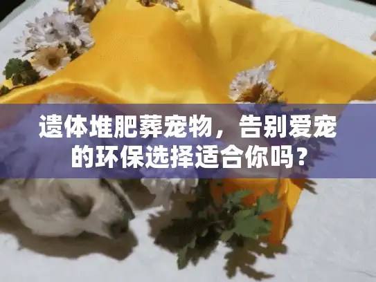 遗体堆肥葬宠物，告别爱宠的环保选择适合你吗？