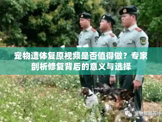宠物遗体复原视频是否值得做？专家剖析修复背后的意义与选择