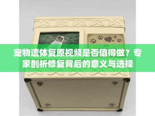 宠物遗体复原视频是否值得做？专家剖析修复背后的意义与选择