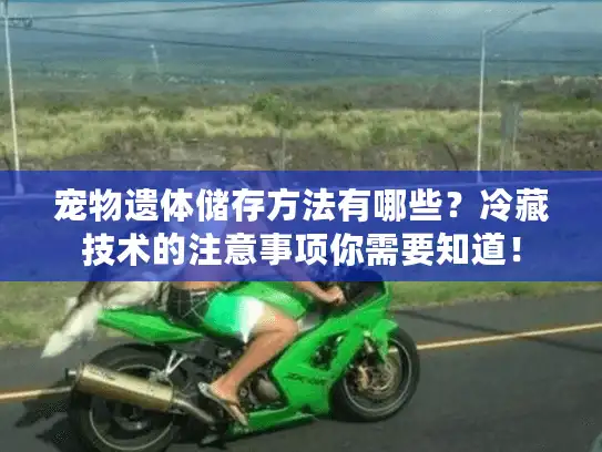 宠物遗体储存方法有哪些？冷藏技术的注意事项你需要知道！