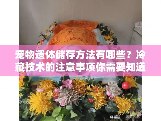 宠物遗体储存方法有哪些？冷藏技术的注意事项你需要知道！