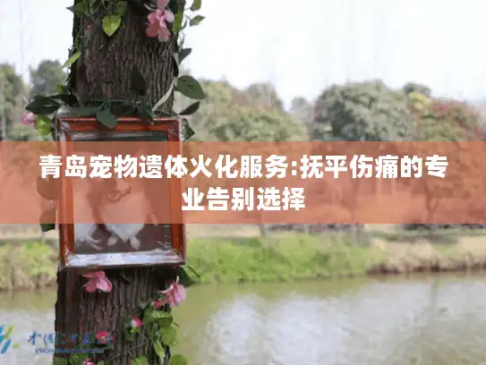 青岛宠物遗体火化服务:抚平伤痛的专业告别选择