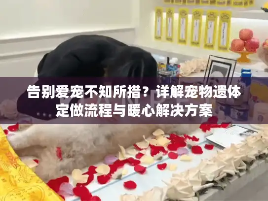 告别爱宠不知所措？详解宠物遗体定做流程与暖心解决方案