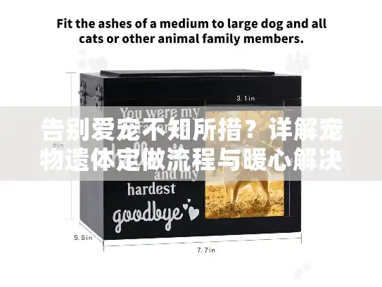 告别爱宠不知所措？详解宠物遗体定做流程与暖心解决方案
