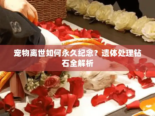 宠物离世如何永久纪念？遗体处理钻石全解析