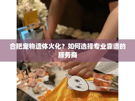合肥宠物遗体火化？如何选择专业靠谱的服务商