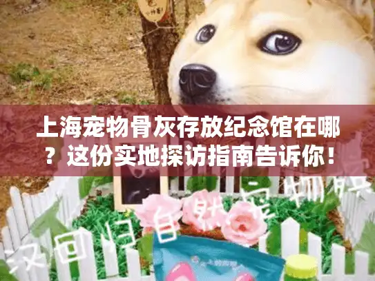 上海宠物骨灰存放纪念馆在哪？这份实地探访指南告诉你！
