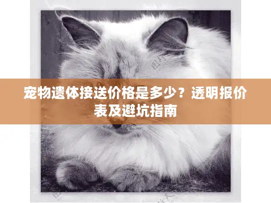 宠物遗体接送价格是多少？透明报价表及避坑指南