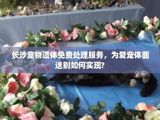 长沙宠物遗体免费处理服务，为爱宠体面送别如何实现?