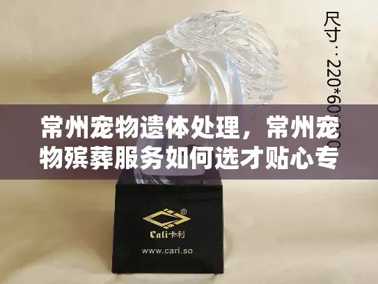 常州宠物遗体处理，常州宠物殡葬服务如何选才贴心专业？