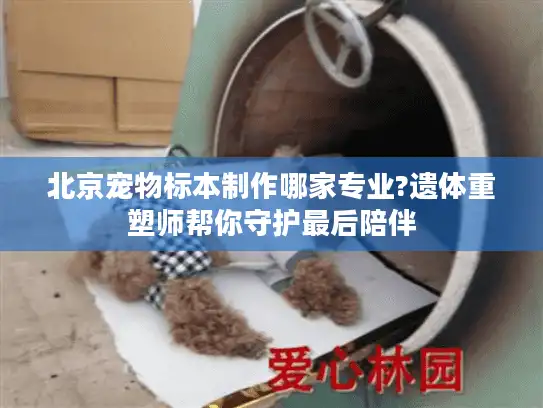 北京宠物标本制作哪家专业?遗体重塑师帮你守护最后陪伴