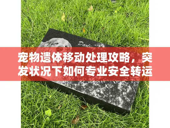 宠物遗体移动处理攻略，突发状况下如何专业安全转运爱宠遗体？